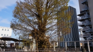 駅前の意外なスポットを見つけたり．．．