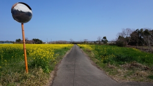 田畑を抜けて．．．